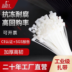 Cable Ties, Plastic Binding Straps, Bundling and Fixing Straps, Nylon Cable Ties, Nylon Zip Ties, High-Strength and Anti-Aging