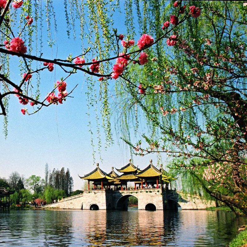 全天接站【游江南】南京+扬州+无锡鼋头渚+苏州拙政园+上海6日游