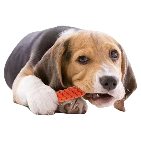 
Dog toys, knots, carrots, teeth grinding, bite-resistant, small dogs, Teddy, Pomeranian, boredom relief, pet supplies, training and vocalization