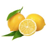 直击心底的酸甜【官补1元】新鲜黄柠檬300g有专卖店吗？