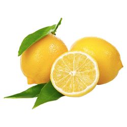 【官补1元】新鲜黄柠檬300g
