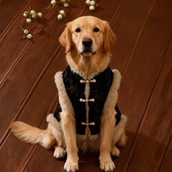 New Chinese-Style Vest, Traditional Chinese Clothing, Retro Black Tang Suit for Medium to Large Pets Like Shiba Inu, Border Collie, Golden Retriever, New Year Outfit