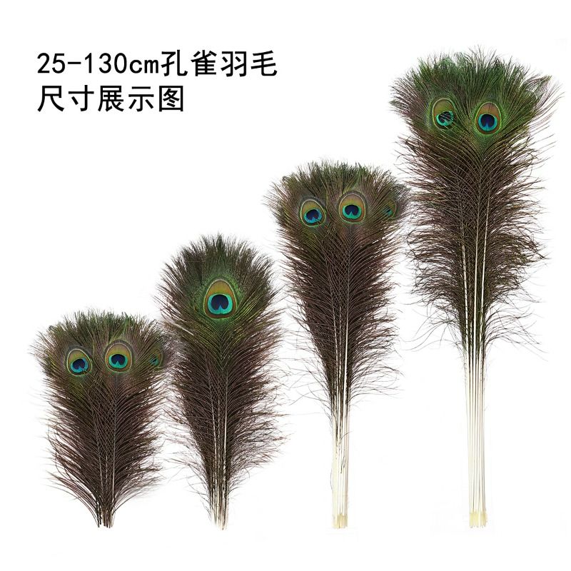 孔雀の羽の装飾品 - クラシックなリビングルームの装飾