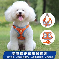 Vest-Style Dog Leash for Small Dogs, Teddy, Bichon, Pomeranian Puppies, Harness, Pet Dog Chain, Dog Walking Leash