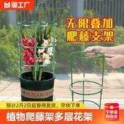 Vật có dây leo giá nhiều lớp làm vườn giá đỡ pothos trong nhà ban công thanh hỗ trợ ngoài trời hoa đứng 2 lớp máy tính để bàn