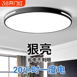 2024 New Model Led Ceiling Light for Room, Bedroom, Living Room, Modern Simple and Elegant Zhongshan Lighting with Remote Control
