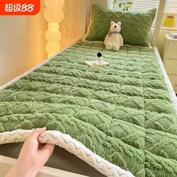 Thickened Taffeta Mattress with Milk Velvet Bed Sheet, Winter Dormitory Mattress Pad, Single Mattress, Double Mattress