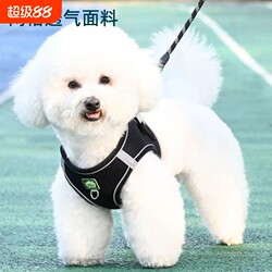 Vest-Style Dog Leash for Small Dogs, Bichon, Teddy, Pomeranian, Puppy Harness, Dog Walking Leash, Dog Chain