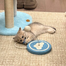 Cat Toys for Kittens: Self-Entertaining Play Sticks, Fruit-Shaped Sisal Spring Ball Toys, Swinging Ball Fun Toys