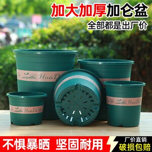 
Uncle Hua has enlarged and thickened the root-controlling gallon pot, which is sun-resistant, fall-resistant and breathable, and is a tall environmentally friendly resin plastic flower pot.