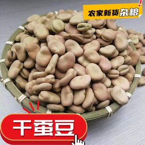 New arrival fresh dry broad beans Yunnan wholesale farmers white bean seeds mangosteen grains bulk large particles