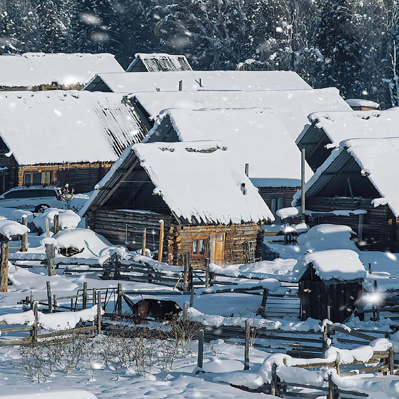新疆旅游阿勒泰喀纳斯禾木白哈巴吉克普林海上魔鬼城将军山5日嗨