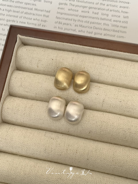 France chic French minimalist versatile high-end brushed matte metal earrings/ear clips for women
