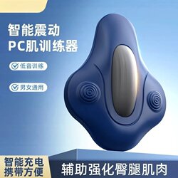 Rechargeable Kegel Trainer Electric Pc Muscle Trainer for Men and Women Home Use Waist Hip Pelvic Floor Exercise Auxiliary Massage