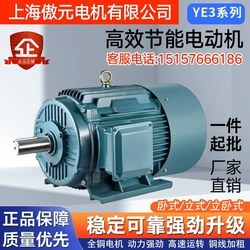 Three-Phase Asynchronous Motor All-Copper National Standard 11/15/18.5/22/37/45/55Kw Motor 380V