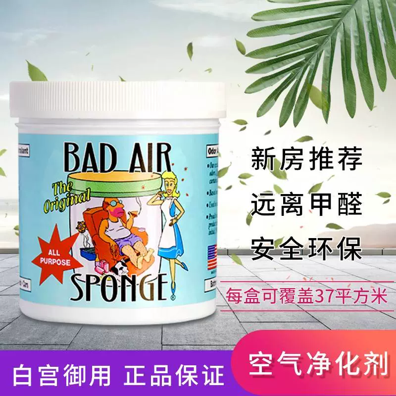 美国进口Bad Air Sponge空气净化剂除甲醛清除剂异味新车装修新房-Taobao