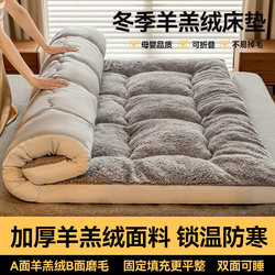 Velvet Mattress Soft Pad for Home Bedroom, Dormitory, Student Single Rental, Special Tatami Mattress, Sleeping Pad