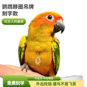 
Peony parrot neck collar anklet anklet tiger skin honey-sucking black phoenix gold sun monk small sun neck collar chain lettering