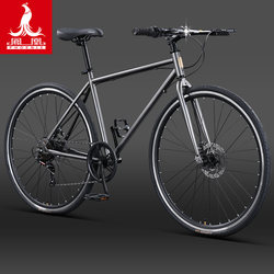 Phoenix Brand Road Bike for Men and Women, Adults and Teenagers, Official 2026 New Model Flat-Bar Road Racing Bicycle