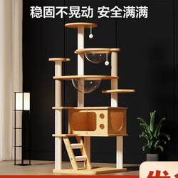Xinjiang Tibet  Cat Climbing Frame Cat Nest Cat Tree Integrated Space Capsule Cat Scratching Board Small Non-Occupying Tongtian Column Cat