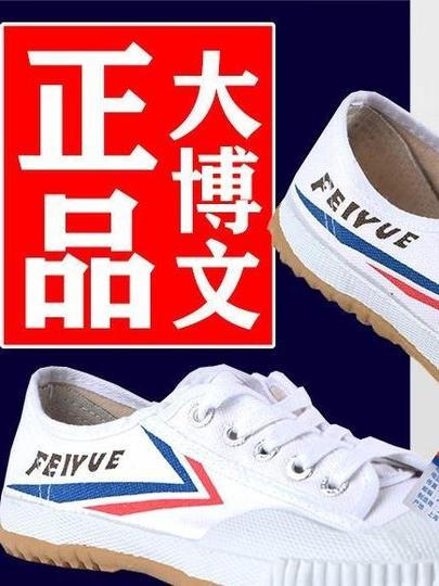 Martial Arts Shoes Mens Kung Fu Shoes Cotton Gore Martial Art