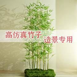 Commercial Scenery Artificial Bamboo 1.2m - 4.5m Various Specifications, Green Plants for Indoor and Outdoor Environment Layout in Shopping Malls and Exhibition Halls