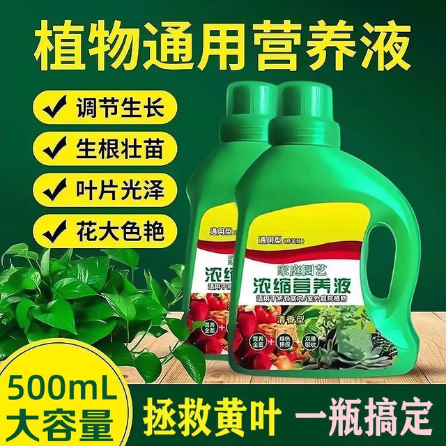 Plant nutrition solution universal home -cultivated flowers green spiny green plants, succulent potted potted fortune tree liquid fertilizer
