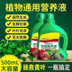 Plant nutrition solution universal home -cultivated flowers green spiny green plants, succulent potted potted fortune tree liquid fertilizer
