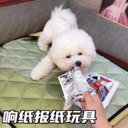 Pet Dog Sound-Making Toy, Crinkle Paper, Newspaper Simulation, Durable Chew Toy, Boredom Buster, Bichon Golden Retriever Supplies, Self-Entertainment