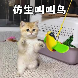 Cat Toy Teaser Stick with Realistic Chirping Bird Toy for Kittens, Self-Entertainment Boredom Buster, Scratch-Resistant and Bite-Resistant Pet Supplies