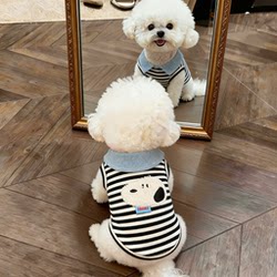 Dog Clothes Spring and Summer Thin Elastic Striped Shirt Lapel Puppy Vest Small Dog Teddy Bichon Schnauzer