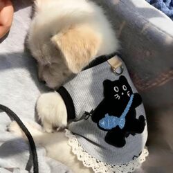 Dog Clothes Spring and Summer Thin Style Ins-Style Waffle Embroidered Lace Vest for Small Dogs Like Teddy, Bichon, and Yorkshire Terrier