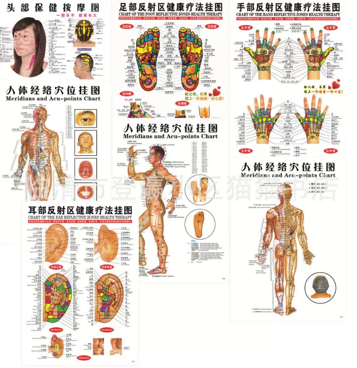 头耳朵手足正面侧面背面7张人体经络穴位挂图按摩图足部手部耳部 Taobao