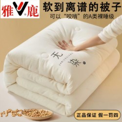 Yalu Class a Soybean Fiber Quilt Core Winter Quilt Thickened Warm Dormitory Single and Double Cotton Quilt Spring and Autumn Bedding