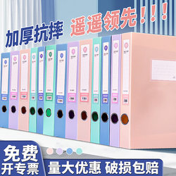 Morandi Color Plastic File Box A4 Document Storage Box for Accounting Vouchers, Personnel Records, Resume Storage, Financial Document Organization, File Folder, Paper Contract, Office Supplies Collection