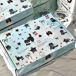 Splashed Ink Kitten Airplane Box Series ins High-Looking Card Packaging Box Hand Gift Box Express Handmade Packaging Box