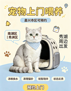 嘉兴上门喂猫服务上门喂养宠物 铲屎 猫猫照看 暖心服务 嘉兴喂猫