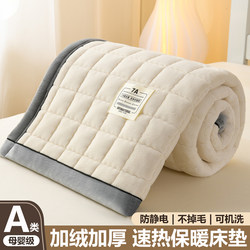 Student Dormitory Mattress Soft Pad Winter Fleece-Lined Warm Bedding Single Bed for Dormitory Rental Washable Non-Slip