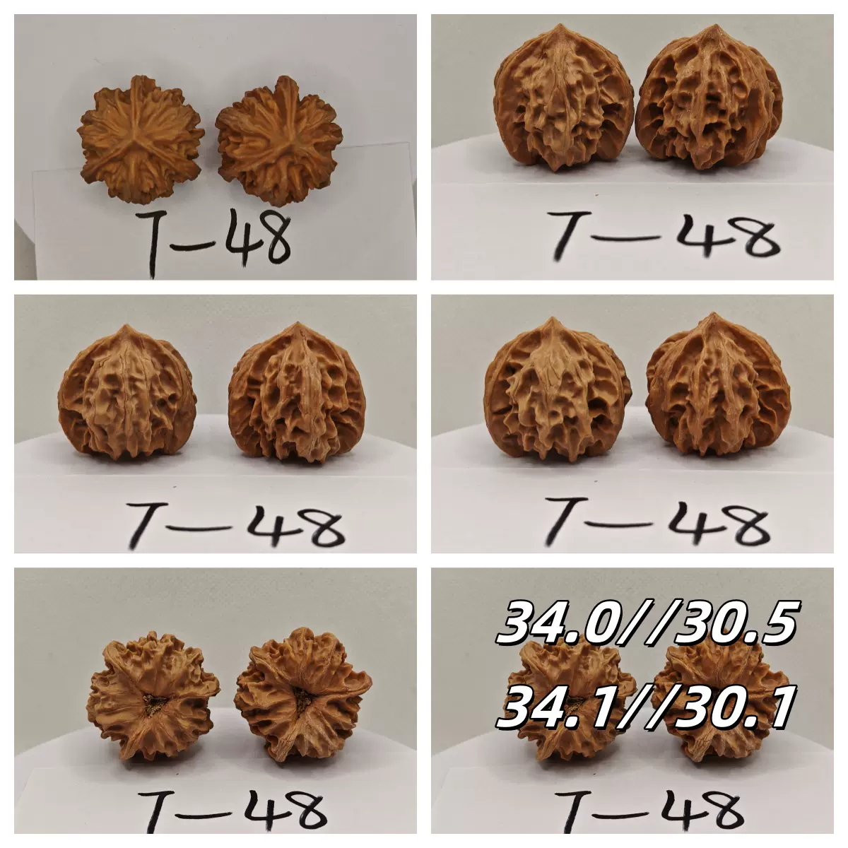三棱核桃 野生文山三棱核桃平谷元宝龟甲纹云铁粗筋三棱