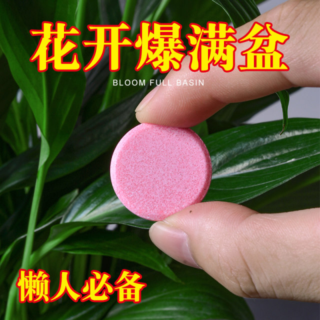 Plant nutrition tablets universal family horticultural mitigation fertilizer fertilizer fertilizer Furnishing potted universal flowers and vegetables and fertilizer
