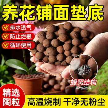 
Special anti-rot root backfill pavement for growing flowers under ceramsite