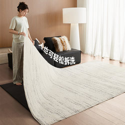 Removable and Washable Carpet 2025 New Model for Living Room, Light Luxury and High-End Feel, Double-Layer Machine Washable Bedroom Sofa Soundproof Floor Mat