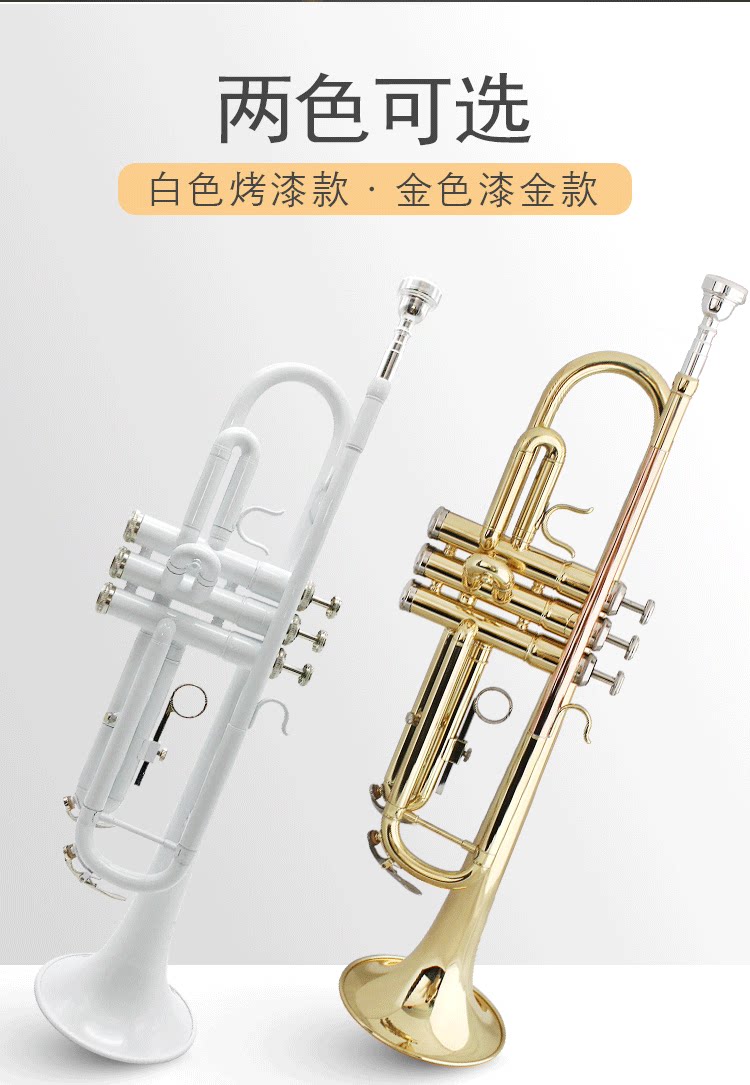 三音小号B调铜管乐器喇叭学生初学乐队专业考级便携箱