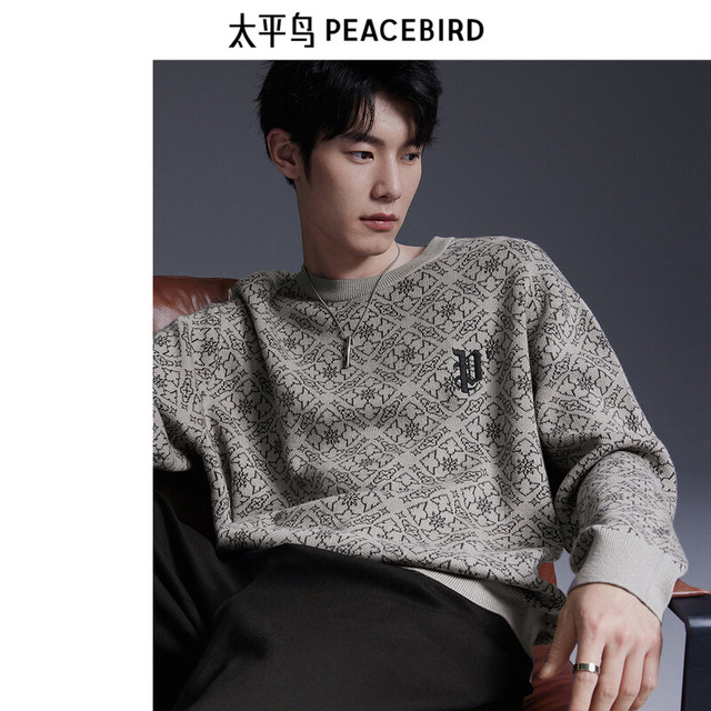 PEACEBIRD Men's Outlet Round Neck Trendy Sweater Men's Spring Casual Loose Sven Sweater Autumn Knitted Sweater