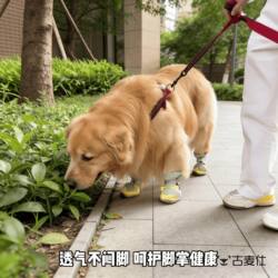 Dog Shoes for Large Dogs, Spring and Summer Thin Breathable Mesh Sandals for Golden Retrievers and Samoyeds, Anti-Slip Clogs