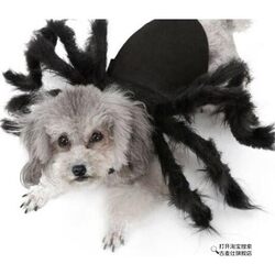 Quirky Pet Spider Costume for Large Dogs Like Golden Retrievers and French Bulldogs, and Cats, in Black for Small to Medium-Sized Pets