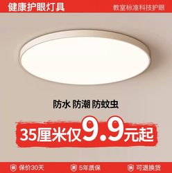 2025 New Model Three-Proof Ceiling Light for Bedroom, Entrance, Balcony, Bathroom, Living Room, Corridor, Hallway, Kitchen Lighting Fixtures