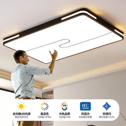 2025 New Model Living Room Main Light Led Bedroom Light Ceiling Light Simple Modern Elegant Dining Room Room Zhongshan Light