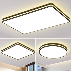 Living Room Main Light 2025 New Elegant Simple Modern Led Ceiling Light Home Bedroom Light Zhongshan Lighting Package
