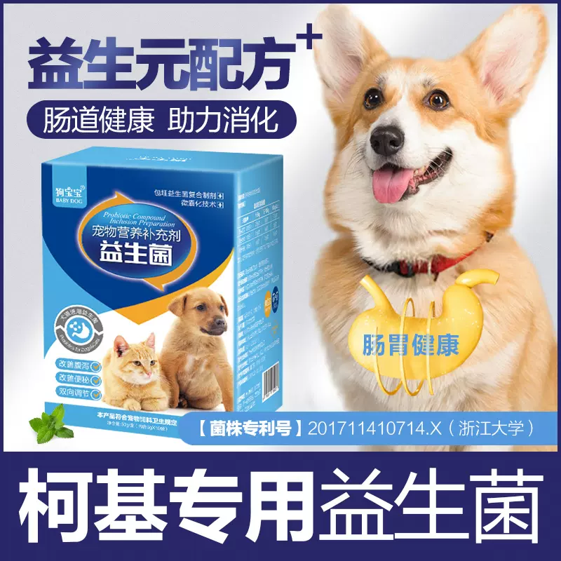 柯基益生菌调理肠胃炎幼犬小狗吃的肠胃宝宠物